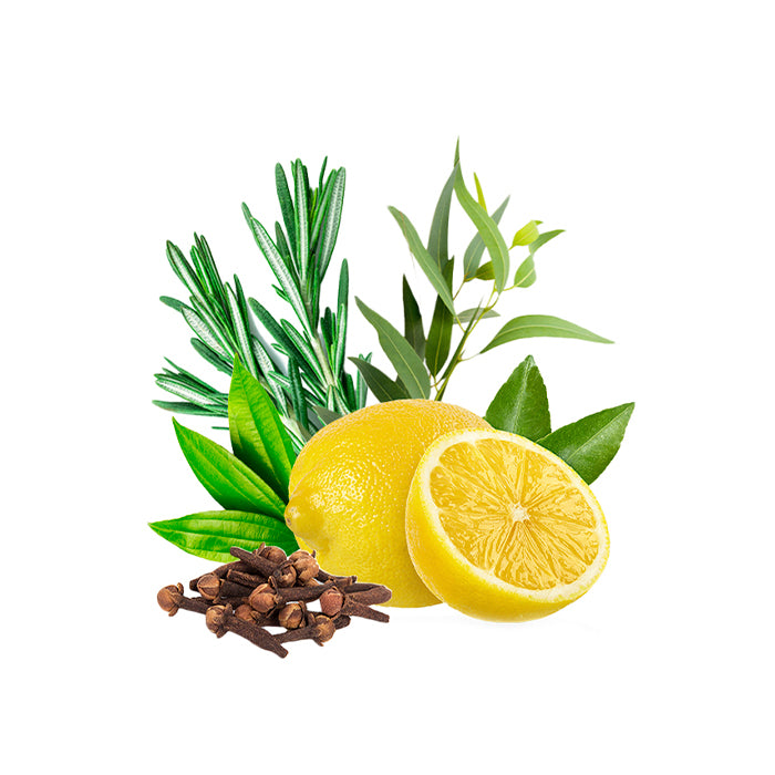 A composition of fresh rosemary sprigs, eucalyptus leaves, bright green leaves, whole cloves, and a vibrant yellow lemon with one half sliced open to reveal the juicy interior, arranged against a white background.